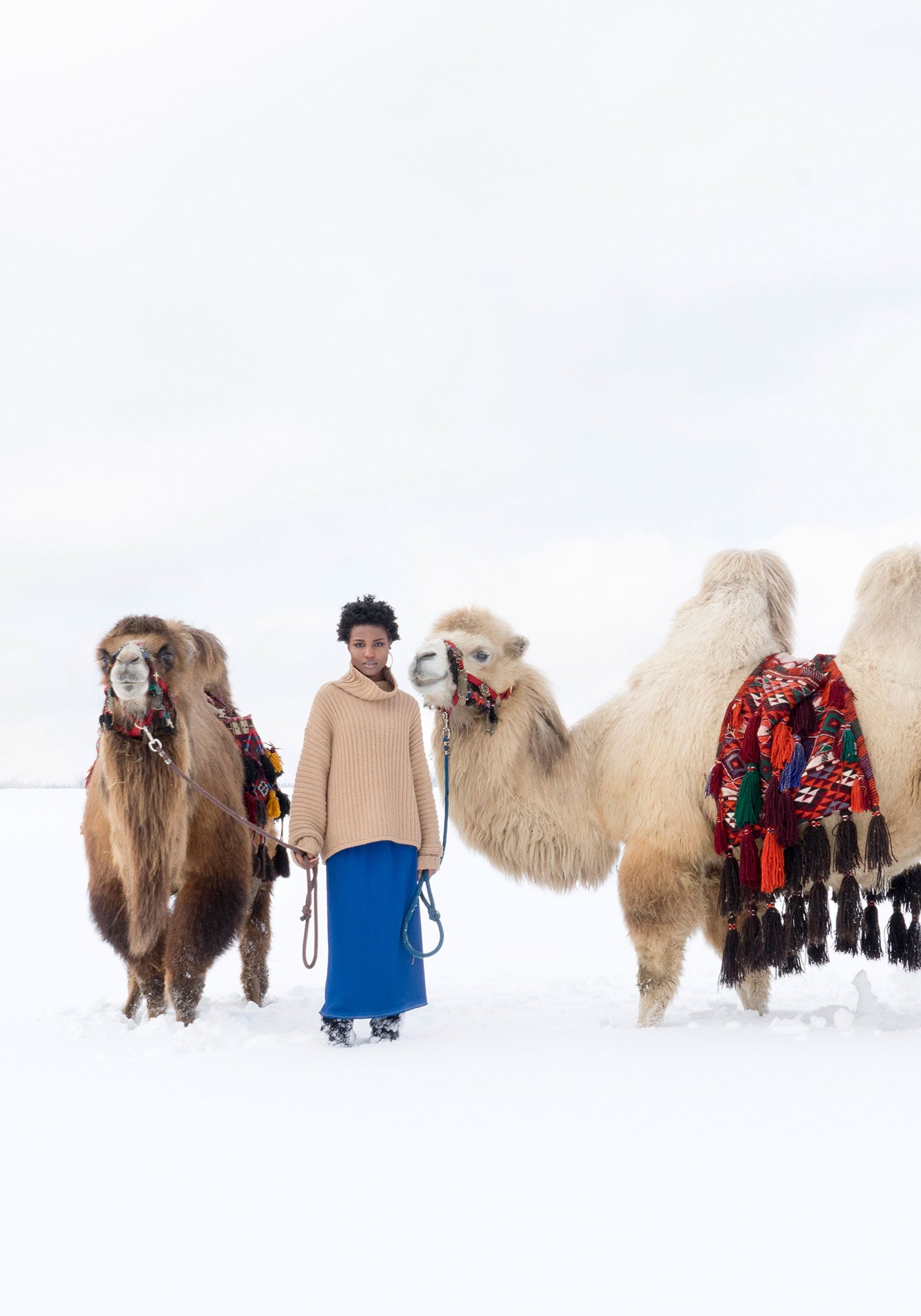 Cashmere knitwear by Antonia Zander, woman in a cashmere sweater with camels in a snowy landscape.
